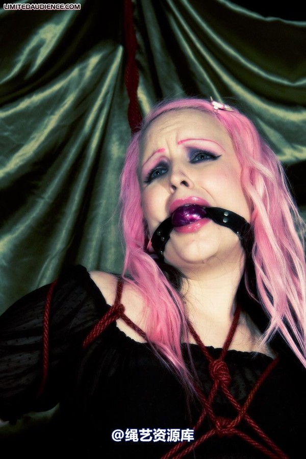 limitedaudience - 2009 assisted suicide profoundly entangled 2 第 13 张图片