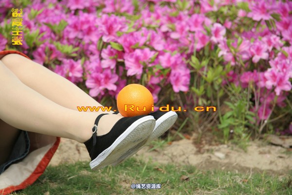锐度主张 - 世博园内向游人展示捆绑艺术1 第 84 张图片