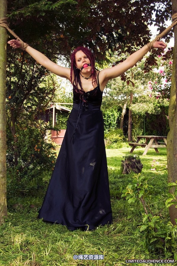 limitedaudience - 2010 beckykat between trees 第 14 张图片