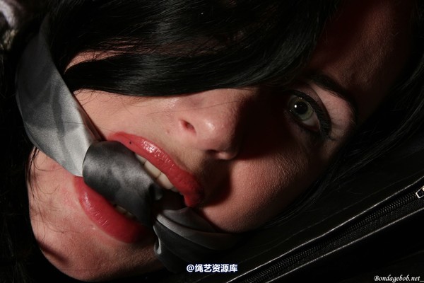 bondagebob - Morrigan take a seat 第 75 张图片