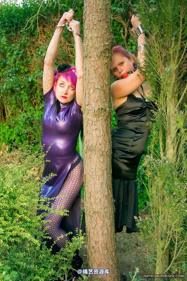 limitedaudience - 2011 beckykat loltaru chained tree seesaw 第 13 张图片