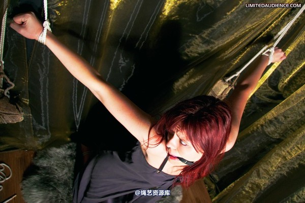 limitedaudience - 2010 scarlett pulled apart 2 第 15 张图片