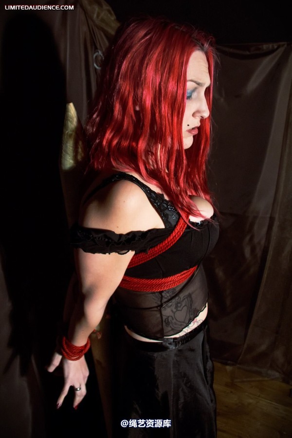 limitedaudience - 2011 elyssia bound to a pole 2 第 23 张图片
