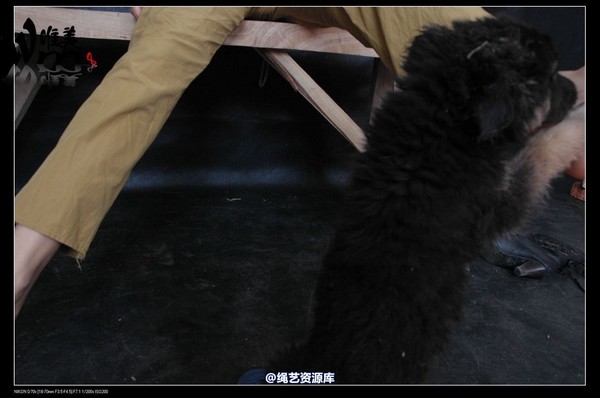 唯美之家 - 2008-12-18军统女特务受刑(剧照) 第 30 张图片
