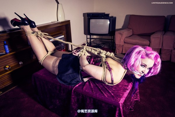 limitedaudience - 2013 assisted suicide hogtie centre piece 2 第 15 张图片