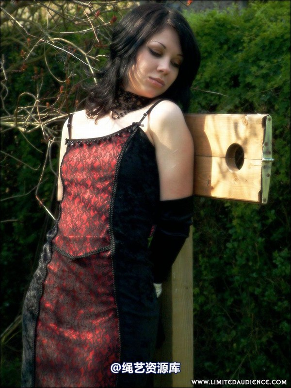 limitedaudience - 2007 dominick destruction public penance 第 19 张图片