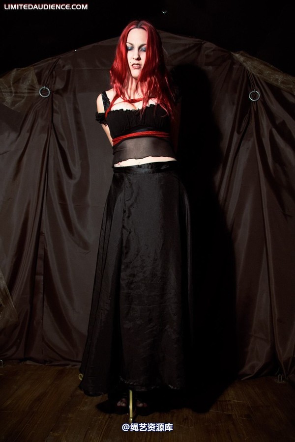 limitedaudience - 2010 elyssia bound to a pole 第 6 张图片