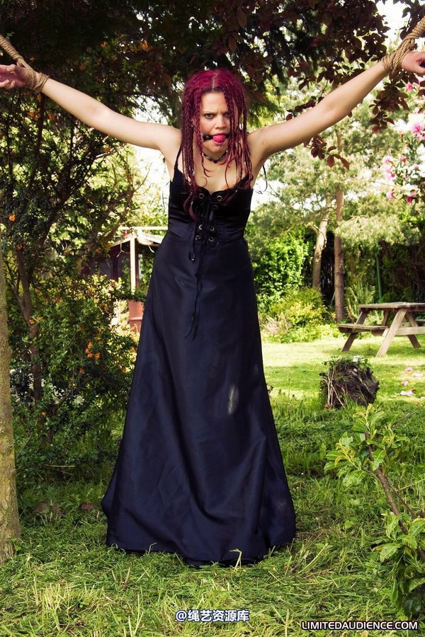 limitedaudience - 2010 beckykat between trees 第 8 张图片