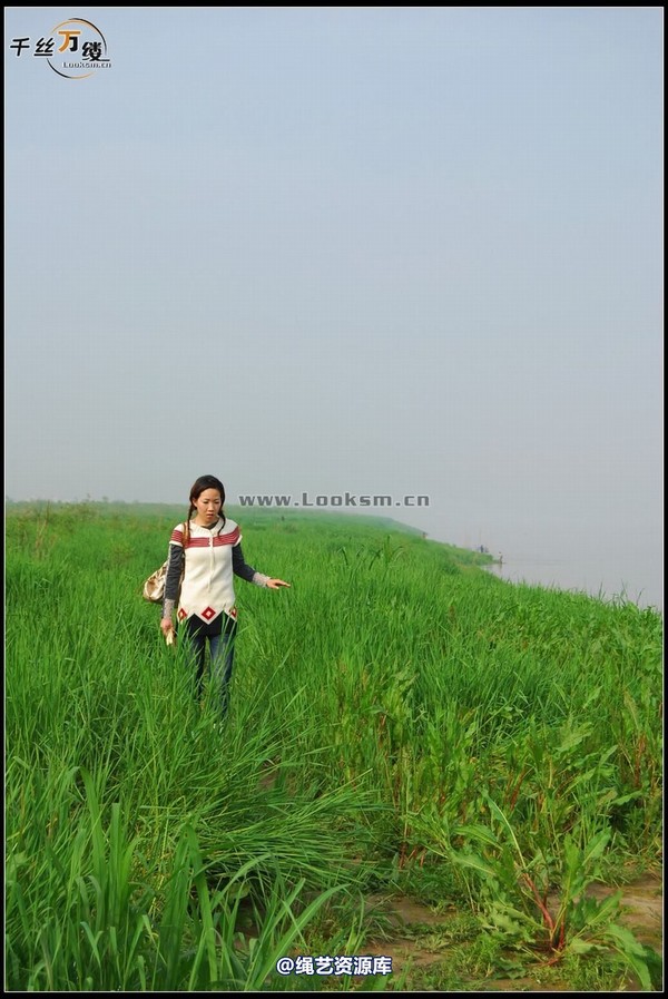 千丝万缕 - 2008-04-06日照片 第 89 张图片