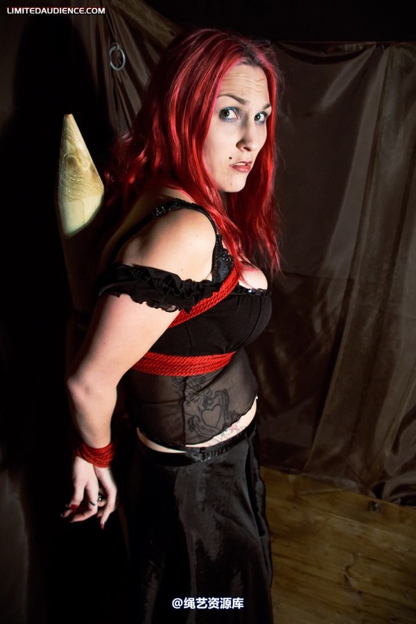limitedaudience - 2011 elyssia bound to a pole 2 第 28 张图片
