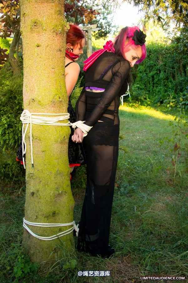 limitedaudience - 2011 beckykat loltaru moored to tree 第 10 张图片