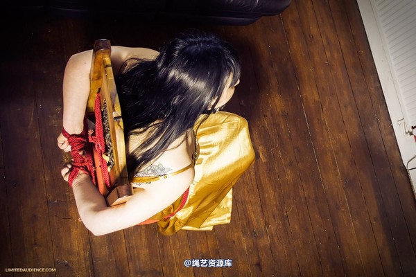 limitedaudience - 2013 dynamo golden satin 第 36 张图片