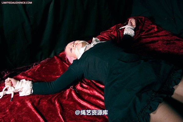 limitedaudience - 2009 assisted suicide internet date 第 24 张图片