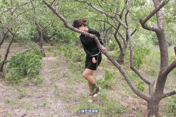 胜景山庄 - 260-戴镣树林游玩 第 43 张图片