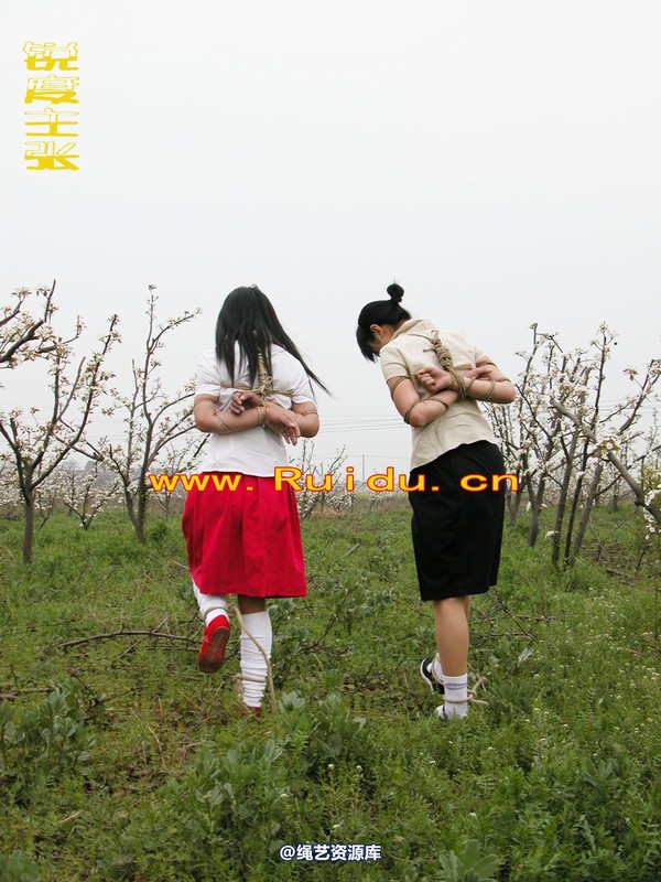 锐度主张 - 婷婷和寒冰梨花林中 第 13 张图片