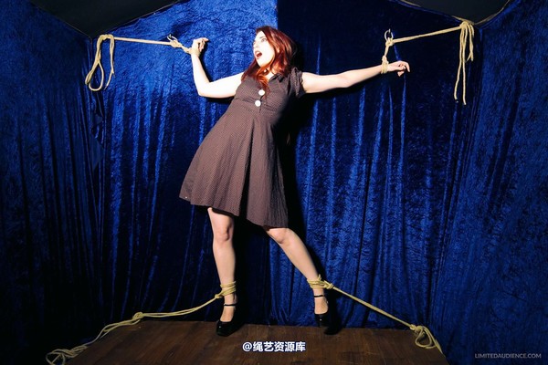 limitedaudience - 2013 ivory not what she meant 2 第 37 张图片