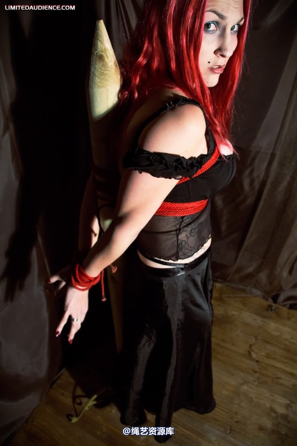 limitedaudience - 2011 elyssia bound to a pole 2 第 12 张图片