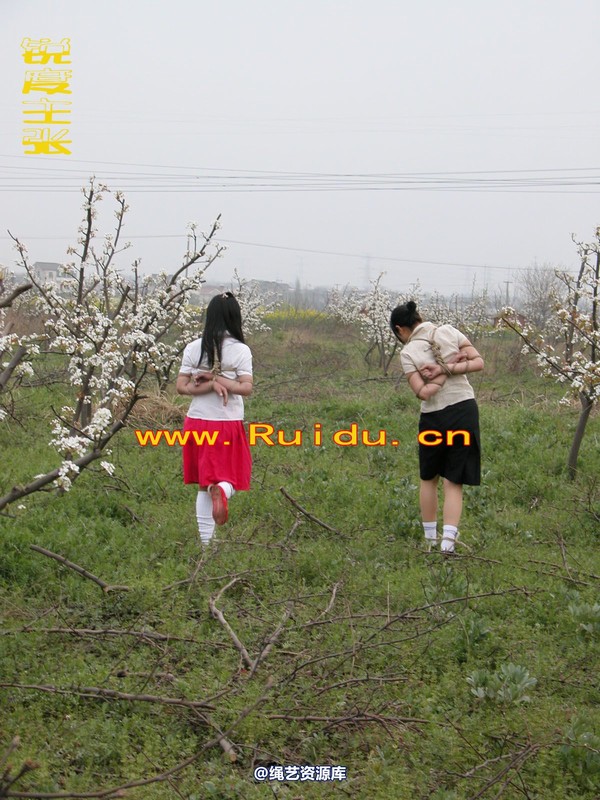 锐度主张 - 婷婷和寒冰梨花林中 第 20 张图片