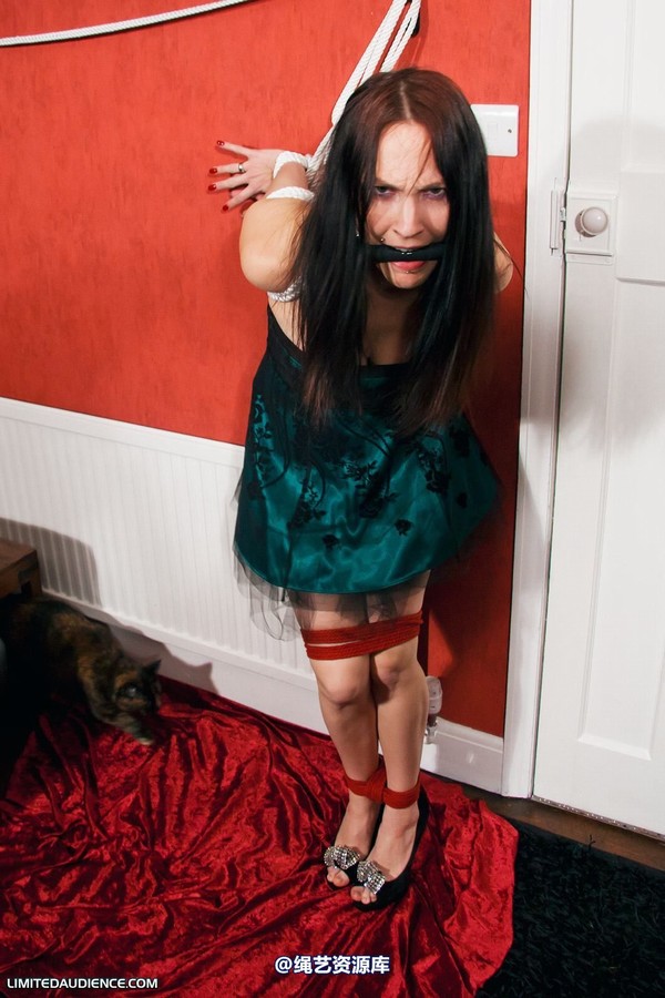 limitedaudience - 2011 elyssia experimental punishment 2 第 22 张图片