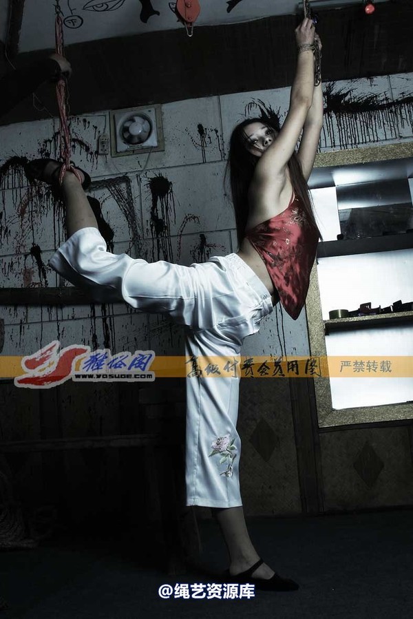 雅俗阁 - 20070327雅思肚兜 第 42 张图片