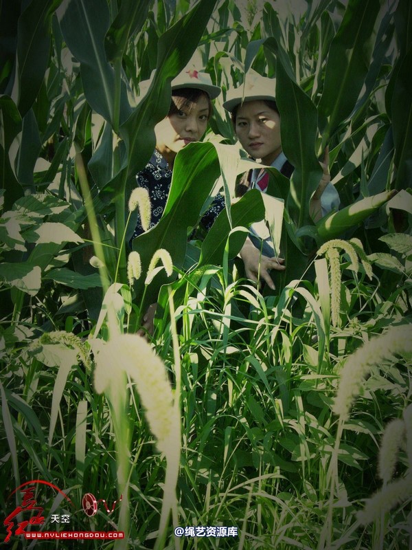 红豆的天空 - 烈火青春 第 16 张图片