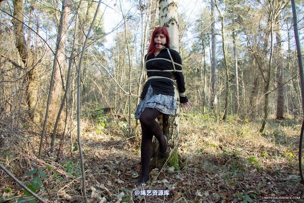 limitedaudience - 2012 scarlett stuck in the woods 2 第 18 张图片