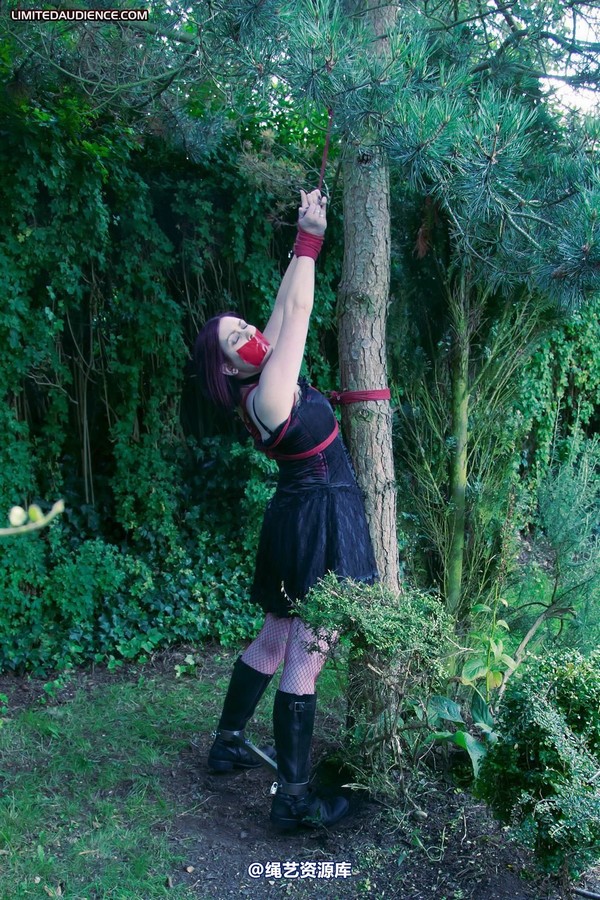 limitedaudience - 2011 carmina and the tree 3 第 19 张图片
