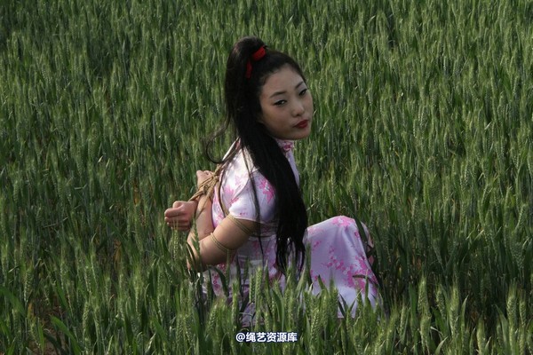 胜景山庄 - 151-麦田绳缚 第 30 张图片