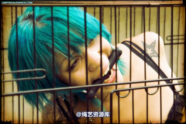limitedaudience - 2009 b caged animal 第 11 张图片