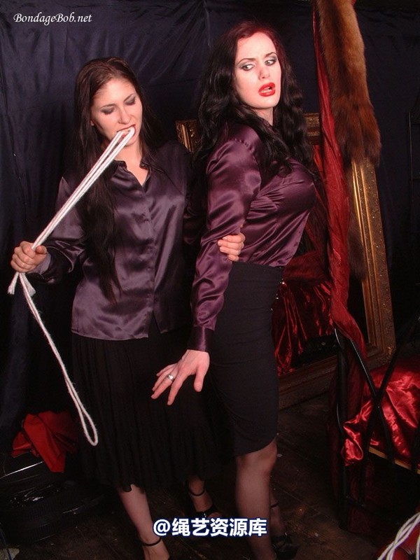 bondagebob - Morrigan and Lydia I'll fix you! 第 6 张图片