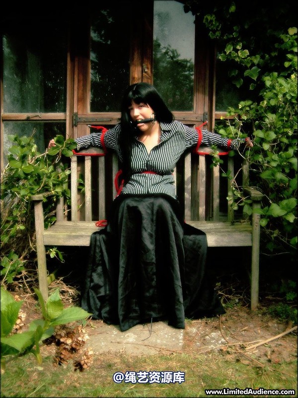 limitedaudience - 2007 nattsuko bitgagged and tied to bench 第 14 张图片