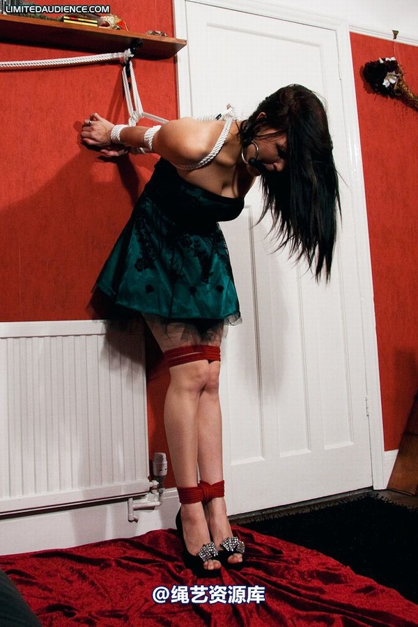 limitedaudience - 2009 elyssia experimental punishment 第 25 张图片