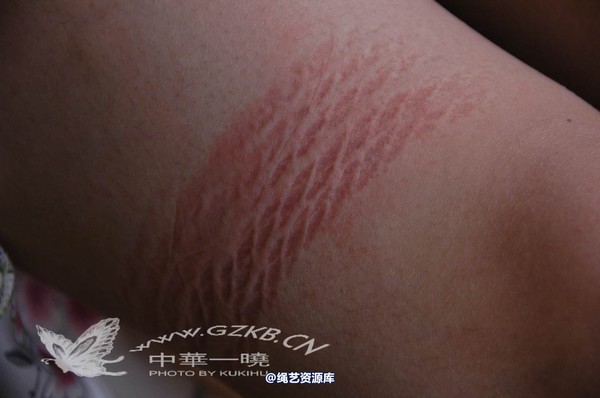 中华一晓 - 中华一晓 NO.0320 第 249 张图片
