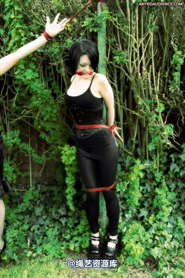 limitedaudience - 2009 catya elyssia lolly pleasure reserves 第 3 张图片