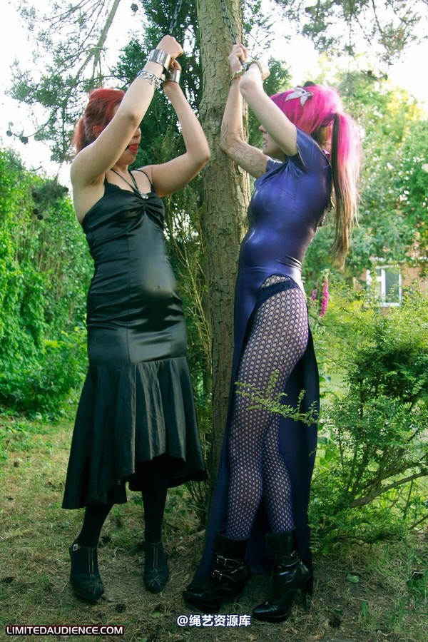 limitedaudience - 2011 beckykat loltaru chained tree seesaw 2 第 11 张图片