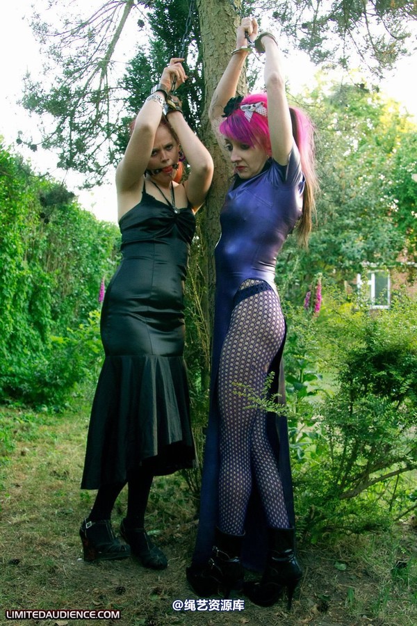 limitedaudience - 2011 beckykat loltaru chained tree seesaw 2 第 7 张图片