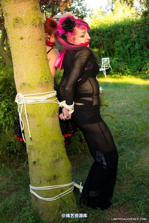 limitedaudience - 2011 beckykat loltaru moored to tree 第 15 张图片