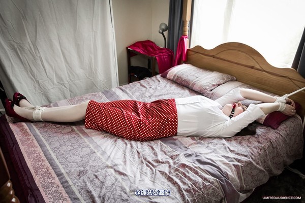 limitedaudience - 2012 catya bound secretary 2 第 1 张图片