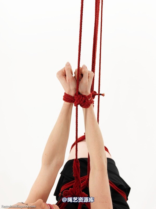 restrainedelegance - What is the Etiquette 第 41 张图片