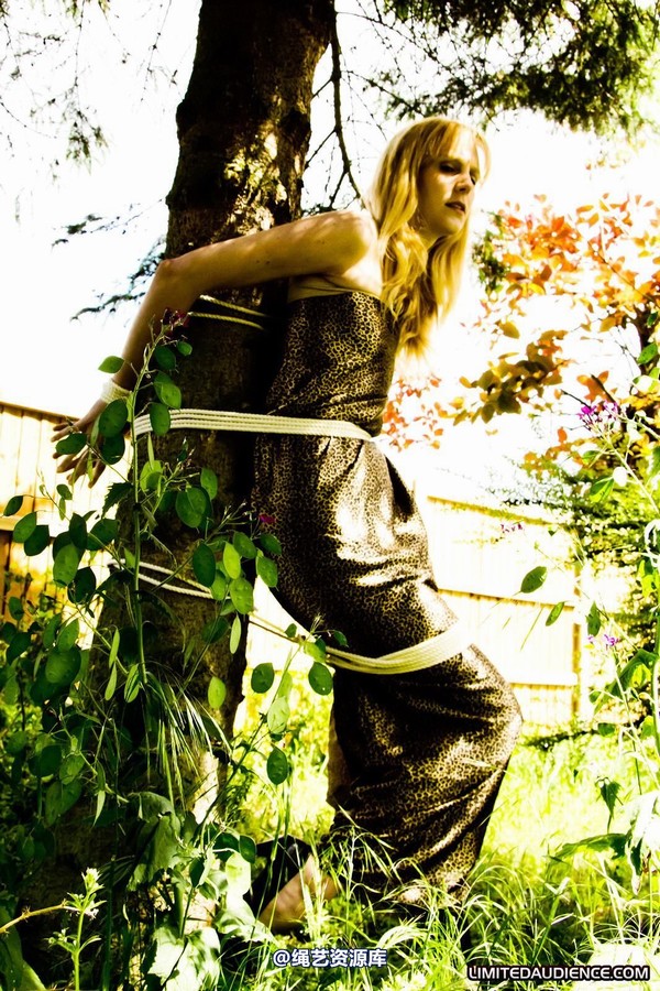 limitedaudience - 2011 ariel tied to a tree 2 第 25 张图片