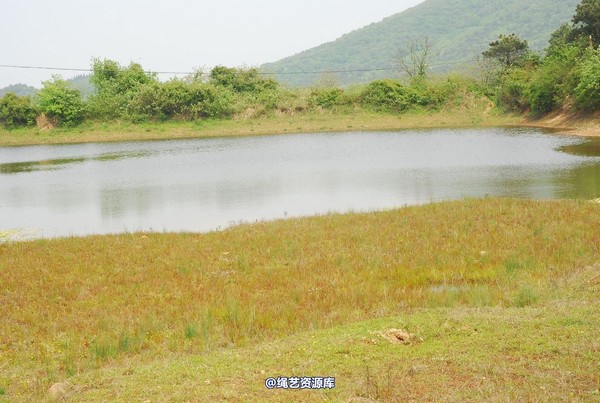唯美之家 - 外拍 第 102 张图片