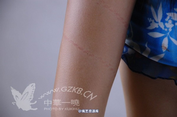 中华一晓 - 中华一晓 NO.0362 第 277 张图片