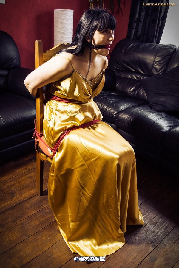 limitedaudience - 2013 dynamo golden satin 2 第 25 张图片