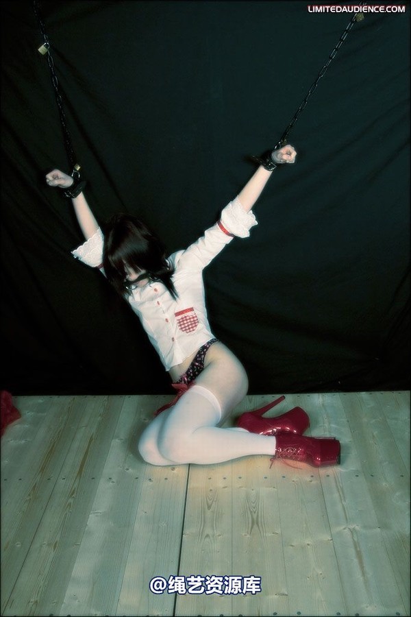 limitedaudience - 2008 blossom blois disciples of hoissy 2 第 33 张图片