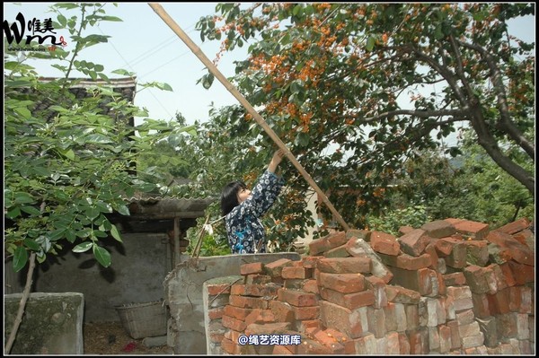 唯美之家 - 武当山之行-山脚匪事1 第 367 张图片