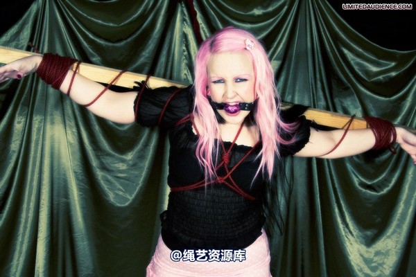 limitedaudience - 2009 assisted suicide profoundly entangled 第 28 张图片