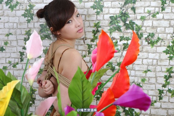 唯美之家 - VIP85 第 49 张图片