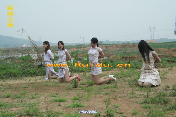 锐度主张 - 4月8日网友聚会室外篇3 第 76 张图片