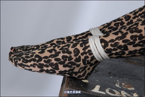 simplytied - Jinx in animal print 第 17 张图片