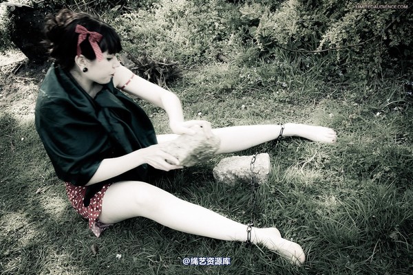 limitedaudience - 2012 dominick destruction escape and punishment 第 3 张图片